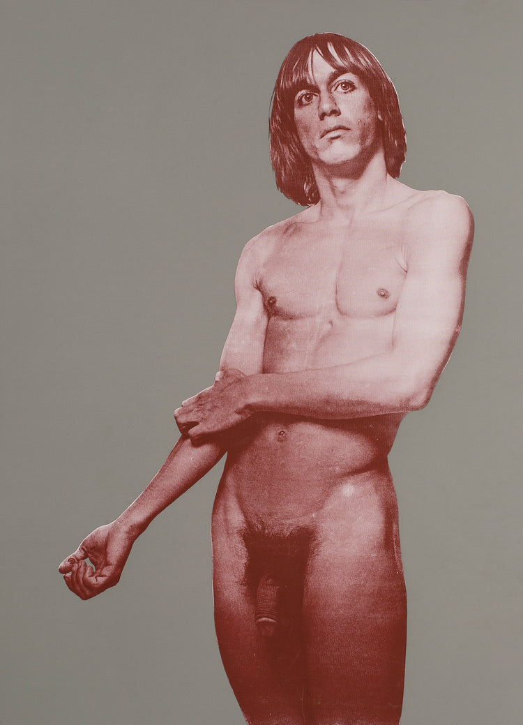 happy birthday iggy pop